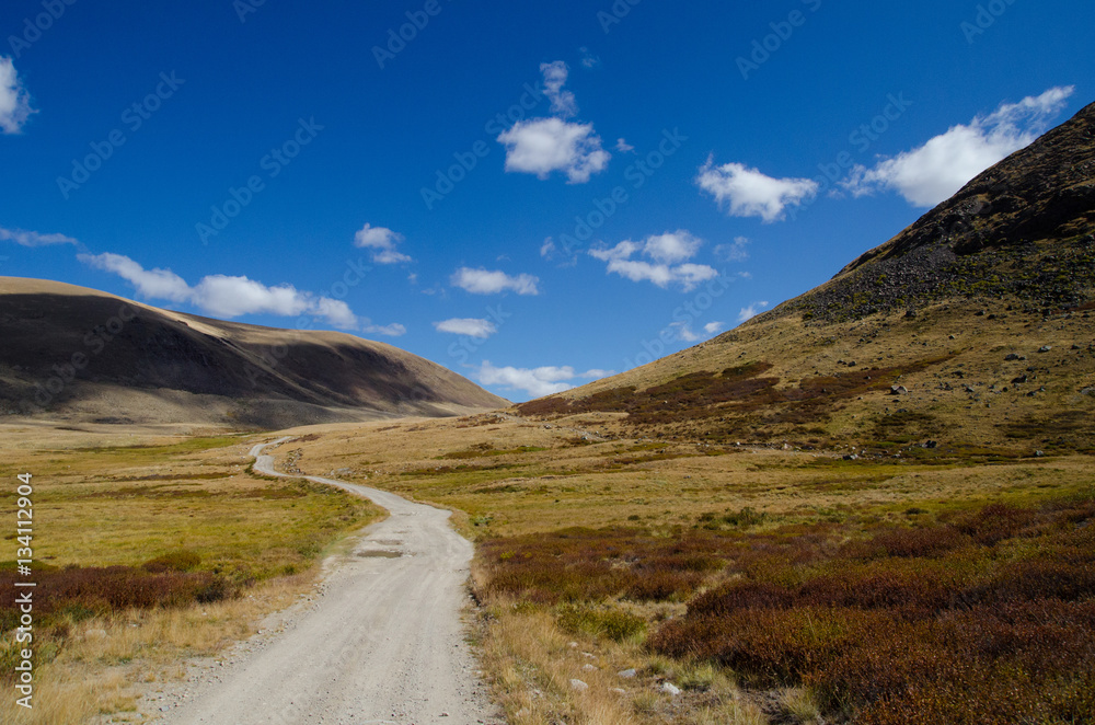 Wildlife Altai. The road, mountains and sky with clouds in summe