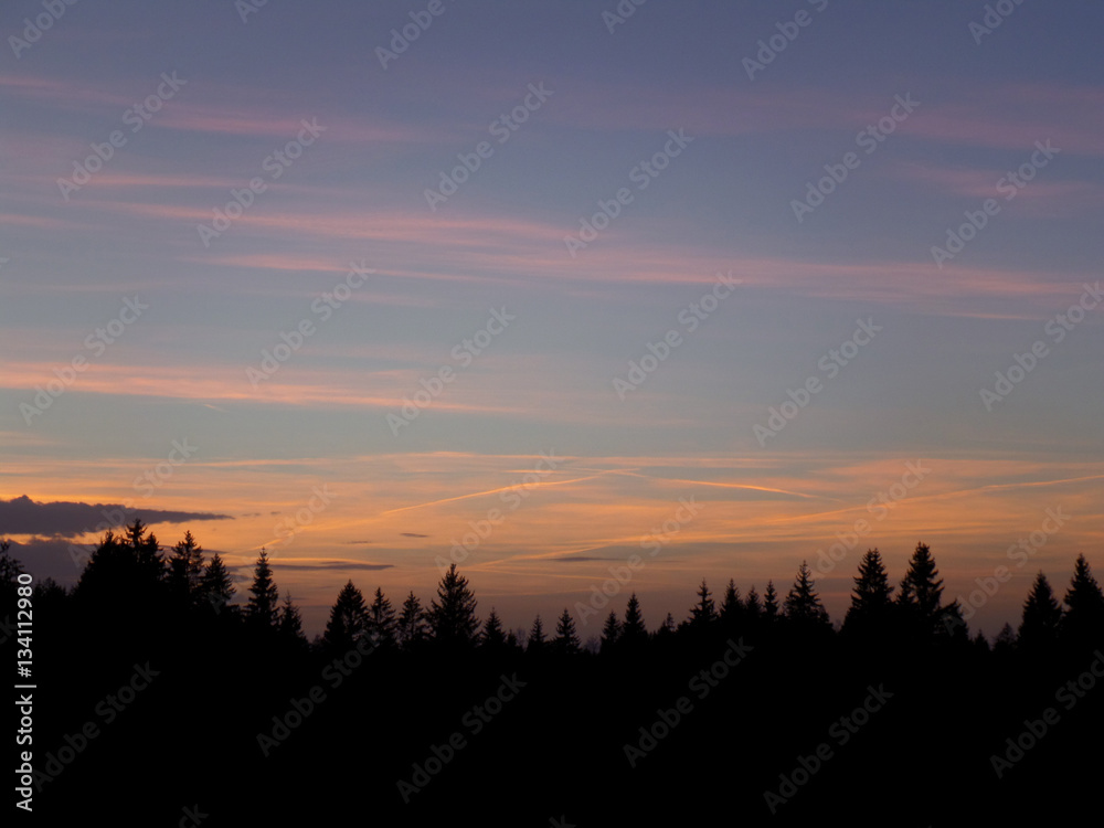 Beautiful Pastel Blue, Pink and Yellow Sunset Sky over the Silhouette of Pine Forest, Bavaria, Germany 
