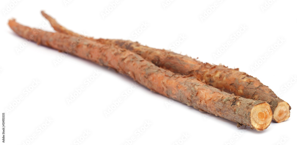 Root of Bomax tree