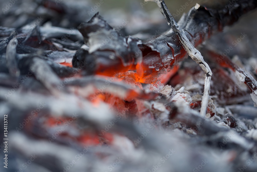 Bonfire in Yakushima. Bonfire in Yakushima.