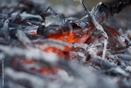 Bonfire in Yakushima.