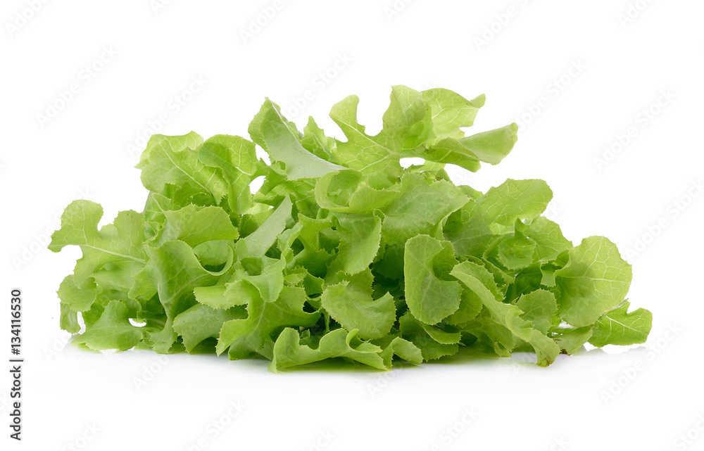 lettuce isolated on the white background. lettuce isolated on the white background.