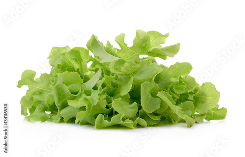 lettuce isolated on the white background.