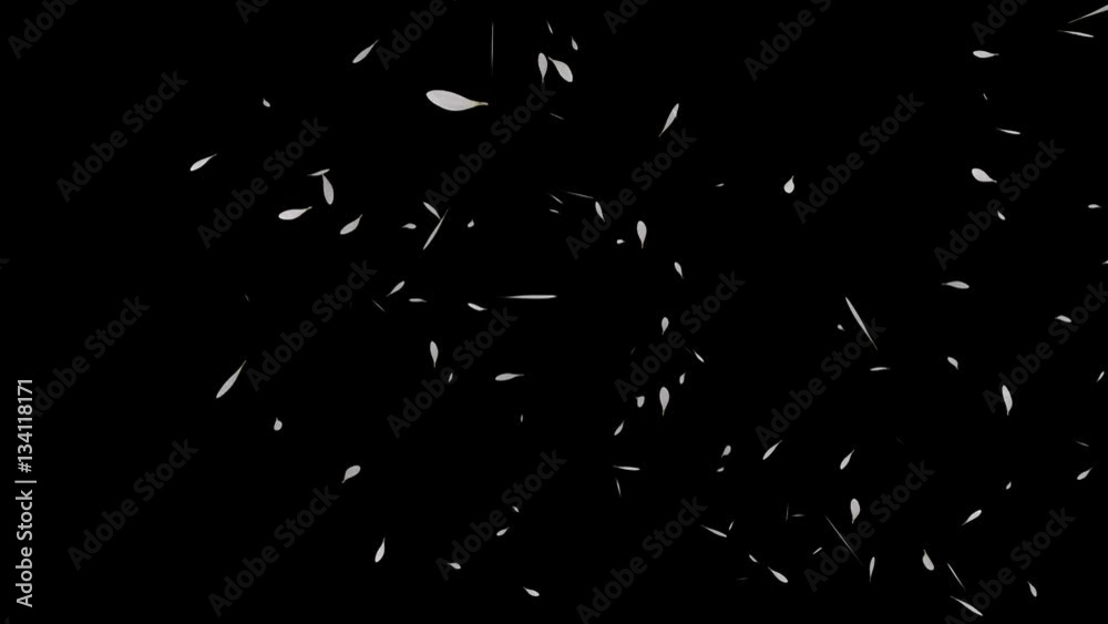 The Flower Petals animated The Flower Petals animated