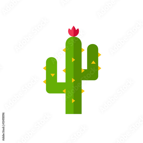 Thorny cactus in desert icon