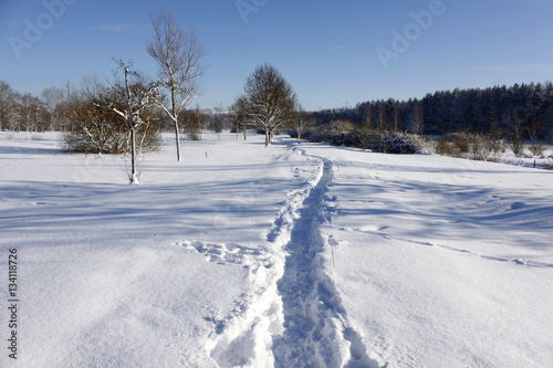 winter snow landscape nature © henryn0580