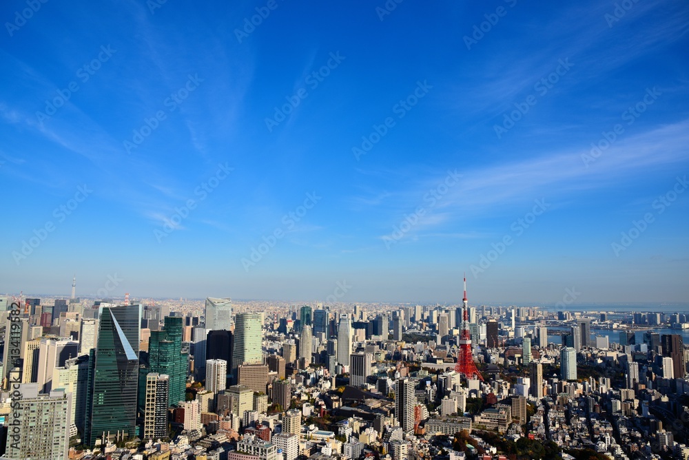 Obraz premium 東京の風景