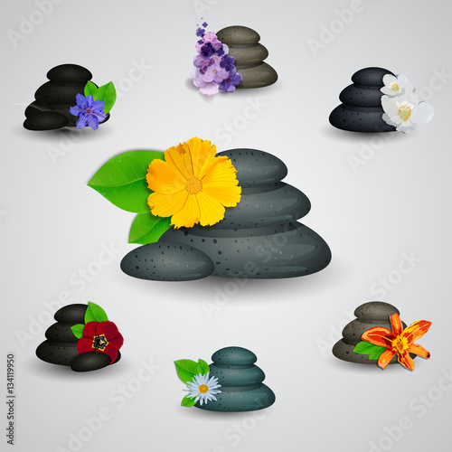 Vector realistic Spa stones