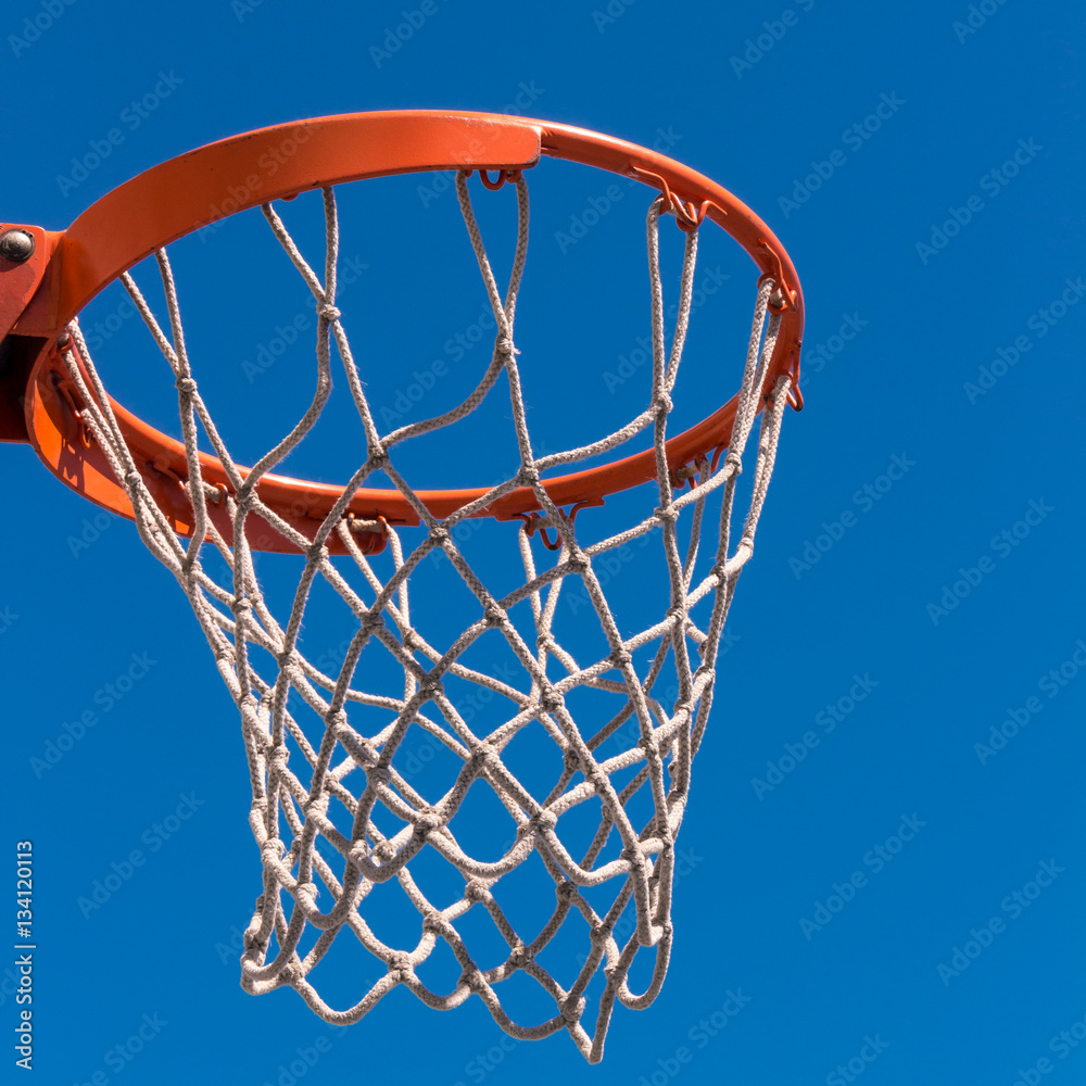 The hoop basketball