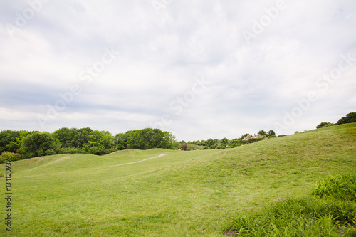 Summer or spring landscape with green hills and trees