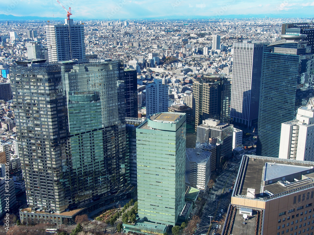 Obraz premium 都市風景 新宿高層ビル