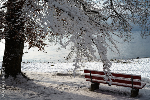 D  Bayern  Bodensee  Lindau im Winter  Blick von Giebelbach auf