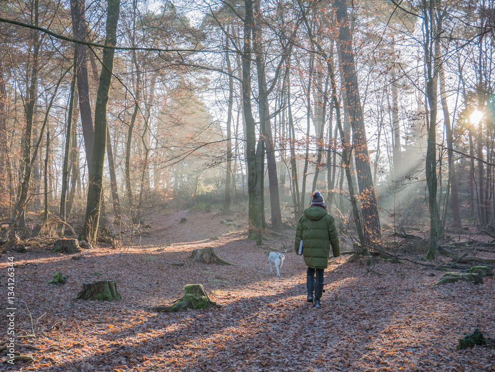 2016_12_29 Dansenberg morning walk 2016_12_29 Dansenberg morning walk