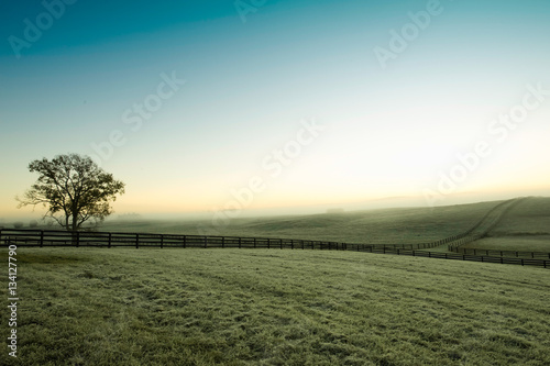 Early Morning Farm