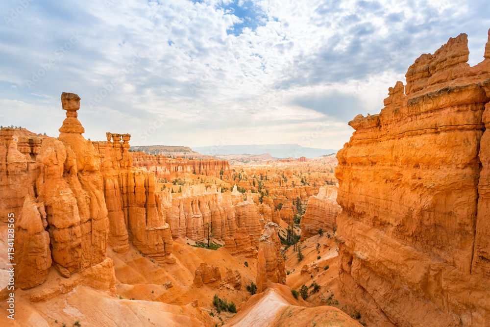 Bryce Canyon landscape from the top of mountain