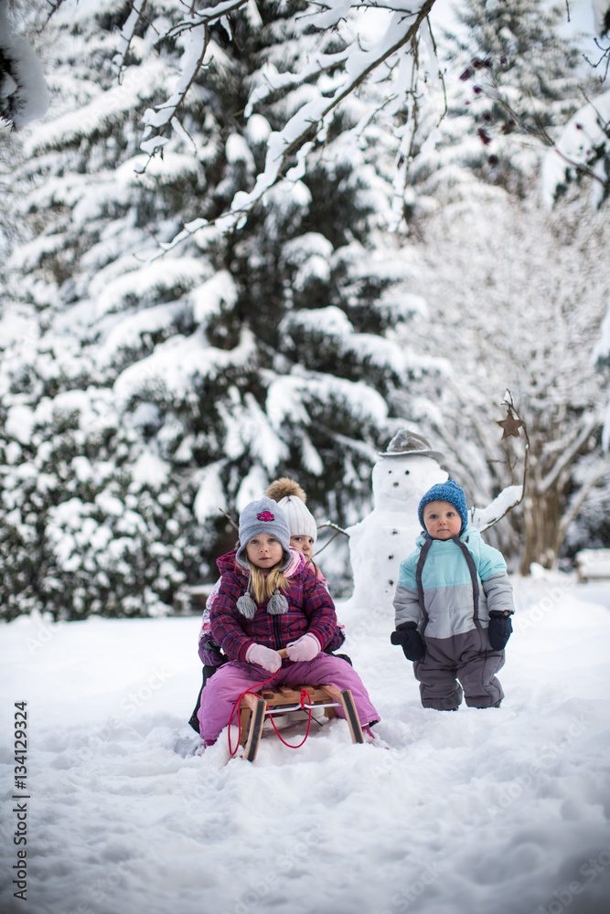 in der Winterlandschaft in der Winterlandschaft