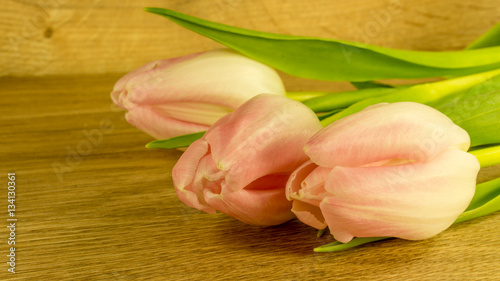 Rosa Tulpenblüten mit Holzhintergrund