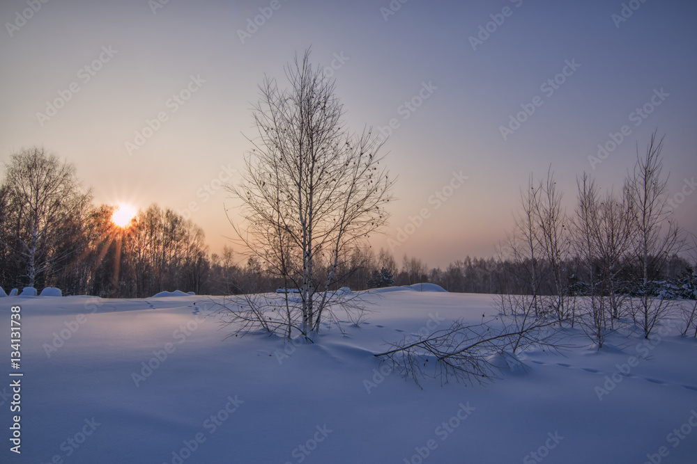 colorful winter sunset on snow field with forest and footsteps