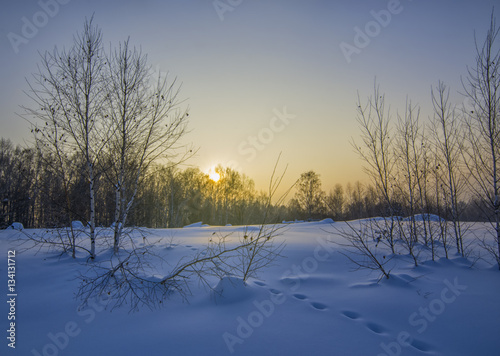 blue winter sunset on snow field with forest and footsteps
