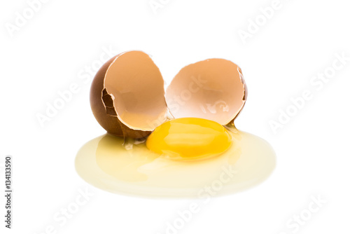 egg