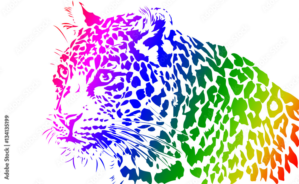 Fototapeta premium Leopard, Big Cat Illustration from India on White Background