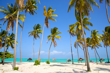 Handdoek met foto Zanzibar Perfect sand beach with palm trees, Zanzibar, Tanzania  © Oleksandr Dibrova