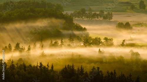 Misty meadows