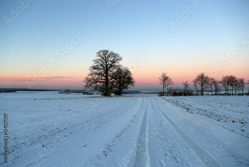 Winter landscape with fields and meadows  / Sunset in the winter © leomalsam