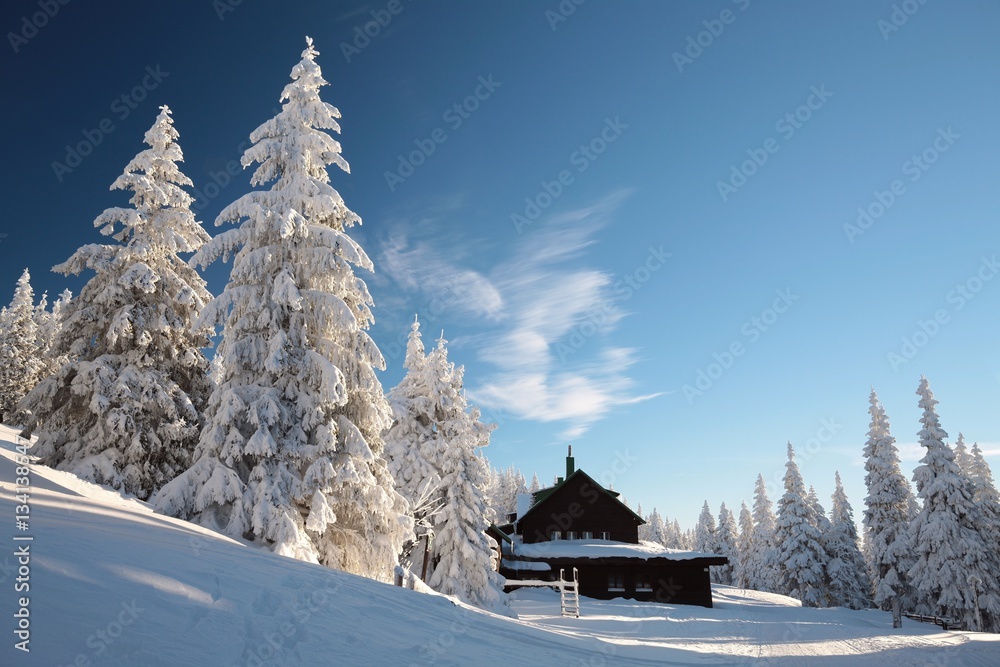 Cottage in the mountains surrounded by winter scenery
