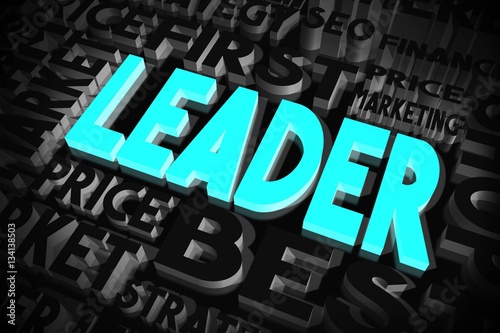Leader concept