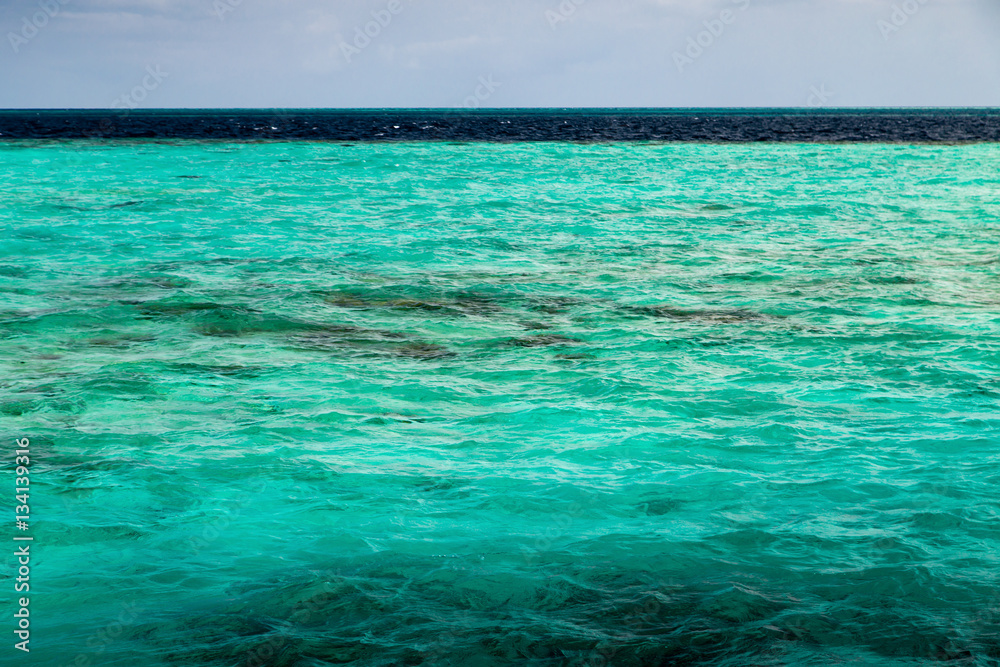 Transparent azure water with coral reef, nature landscape