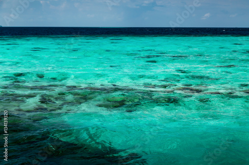 Transparent azure water with coral reef, nature landscape © Ivan Kurmyshov