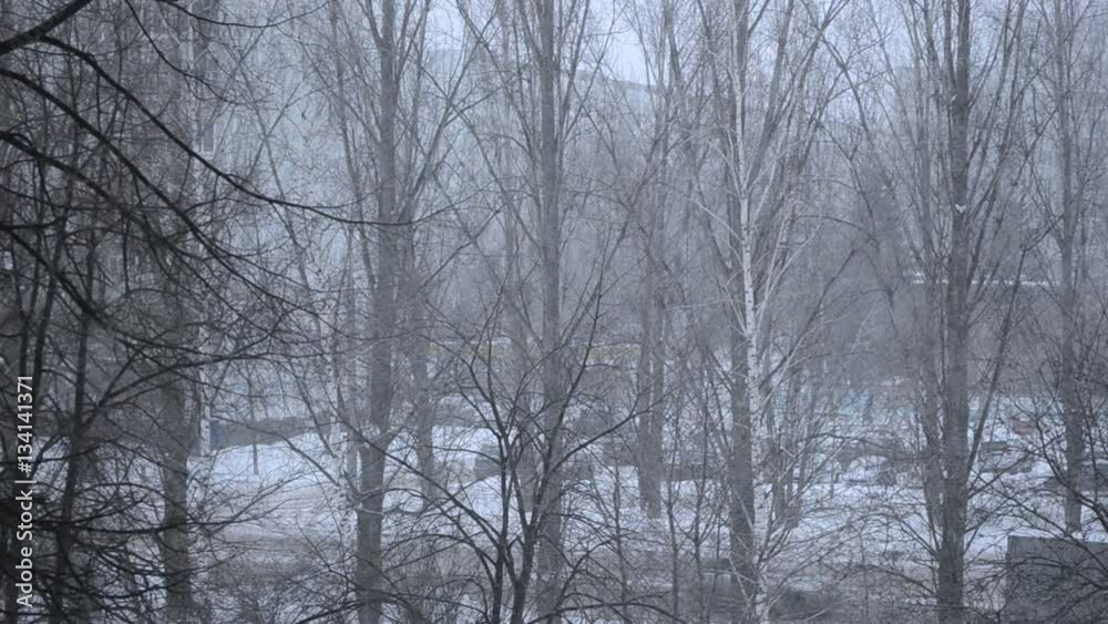 View from the window. The snow outside the window. View from the window. The snow outside the window.