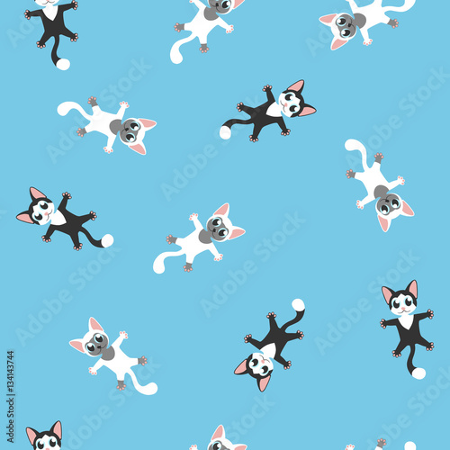 kitten blue seamless pattern