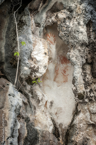 Preshistoric petroglyph rock paintings in Raja Ampat, West Papua, Indonesia. Aborigines from Australia left their markings in the form of rock paintings in and around Misool Island in Raja Ampat. photo