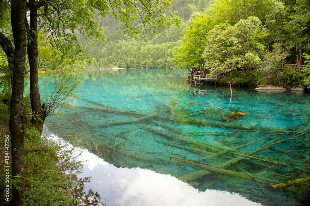 Obraz premium Clear Water Lake