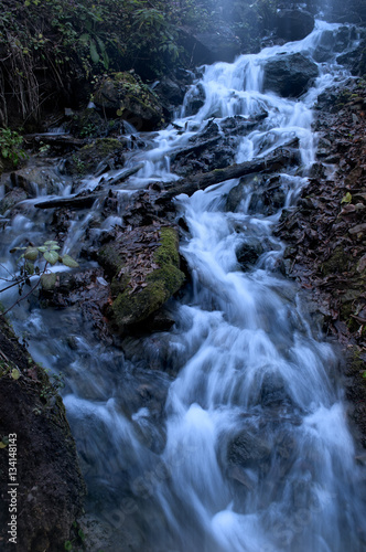 Water flowing through the forest over moss covered rocks 