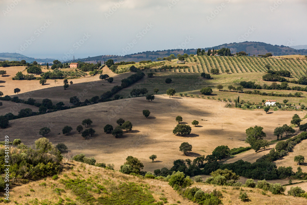 Fototapeta premium View of tuscan fields and hills in Maremma region in Italy