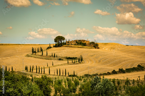View of house with cypress trees in a field in the tuscan region