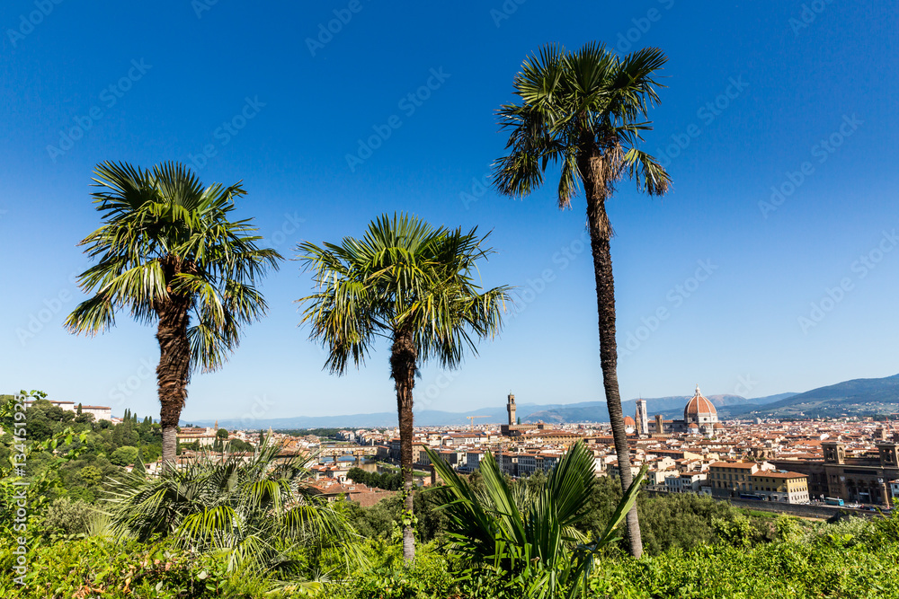 Obraz premium View to the city of Florence from Michelangelo Square