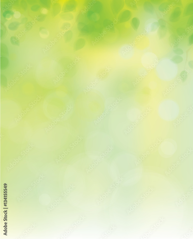 Vector green leaves on sunshine background.