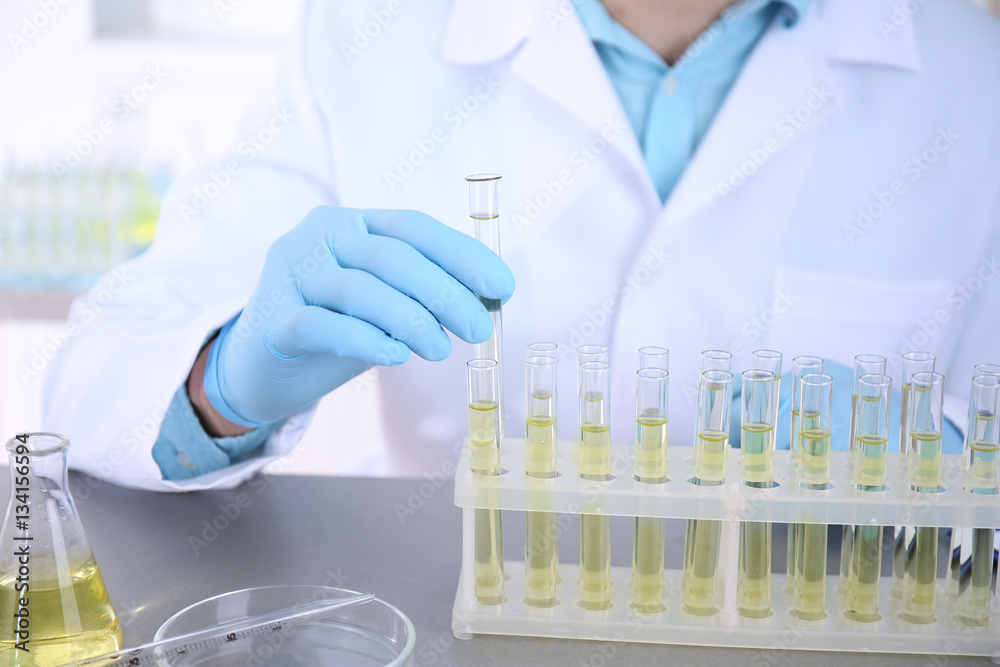 Fototapeta premium Doctor examining the urine in laboratory, closeup