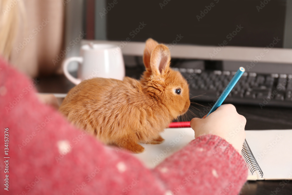 Obraz premium Cute funny rabbit sitting on notebook and woman at desk