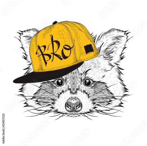 The poster with the image raccoon portrait in hip-hop hat. Vector illustration.