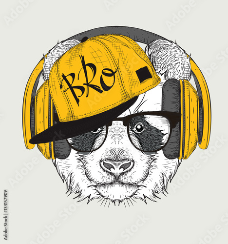 Fototapeta Naklejka Na Ścianę i Meble -  The image of the panda in the glasses, headphones and in hip-hop hat. Vector illustration.