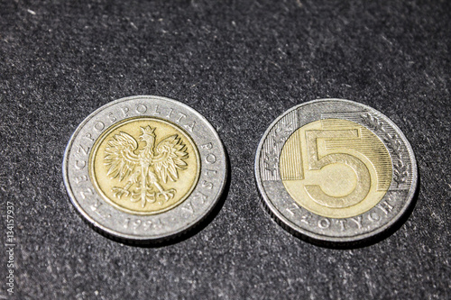 Polish Coin 5 Zloty photo