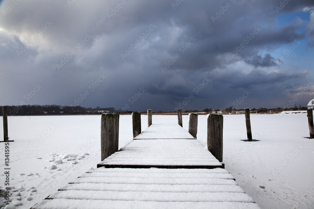 Fototapeta premium winter impression with snowy bridge