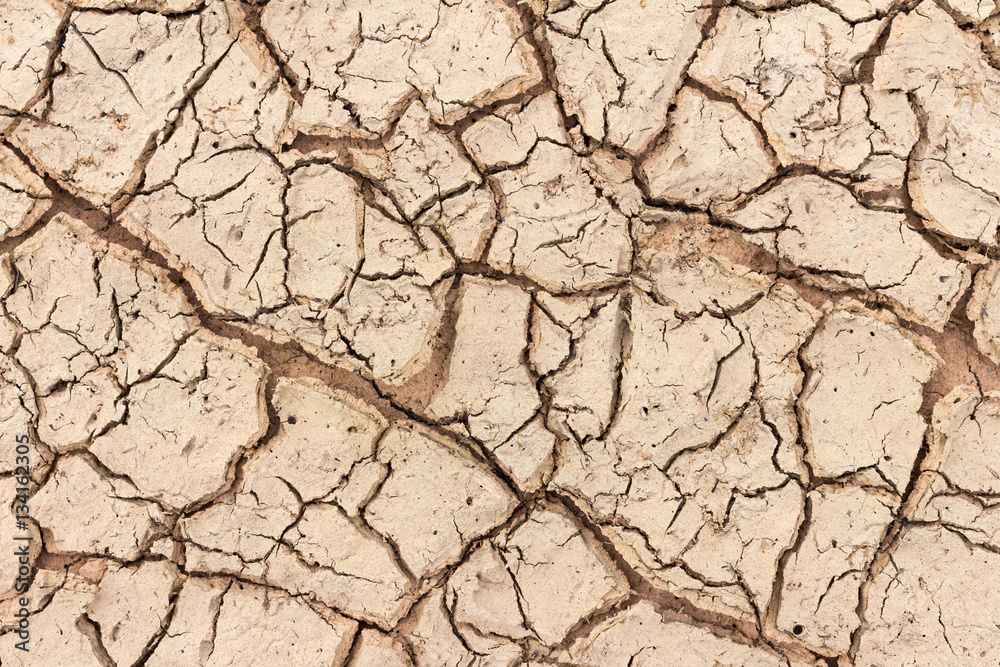 The cracks texture ground surface The cracks texture ground surface