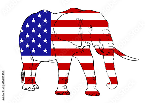 Photography Elephant and American Flag