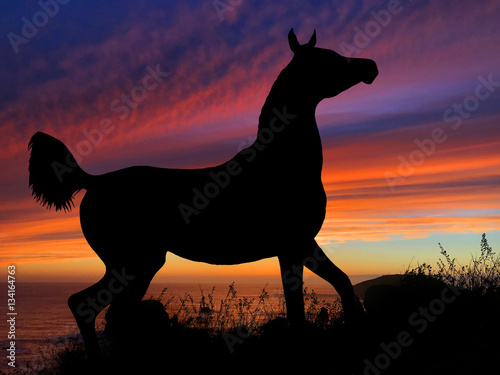 Horse Silhouette Sunset